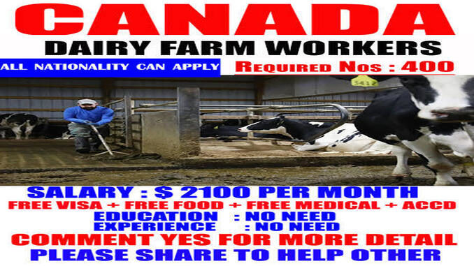 canada dairy farms hiring workers